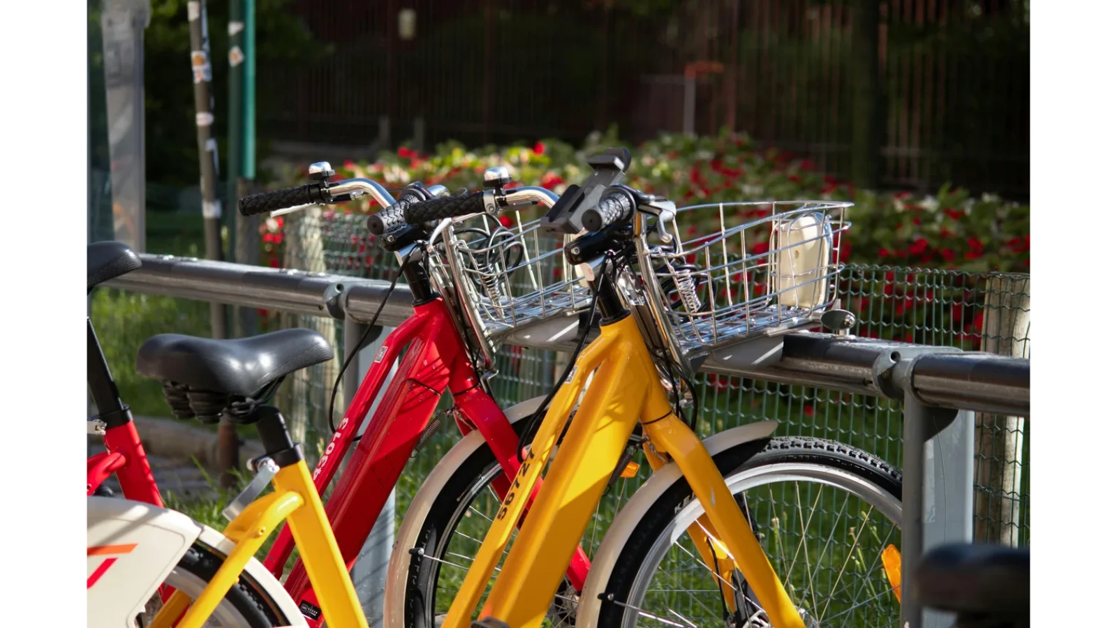 Location de vélos électriques chez KAMEO Bikes à Liège